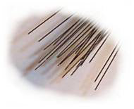 0.012 Stainless Steel Wire 10-pack