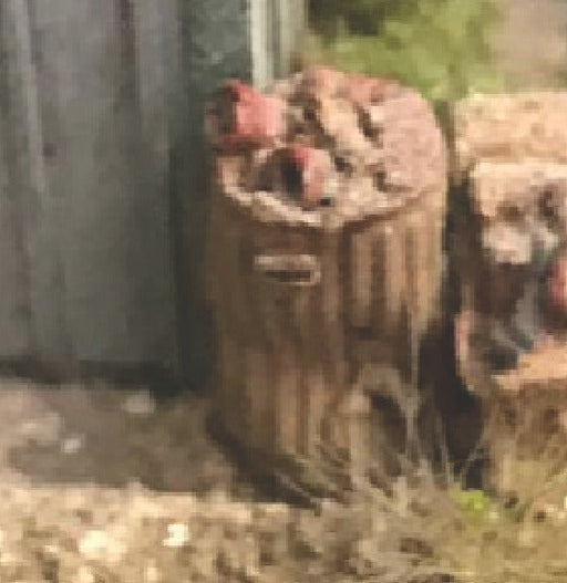 Dented Trash Cans